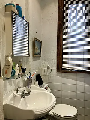 Rented by Adir Realty | media 15