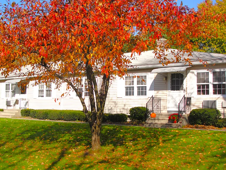 Beech Tree Residences — Photo 1