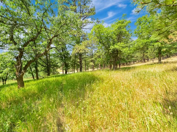 39 Tickelgrass Rd, Sturgis, SD 57785