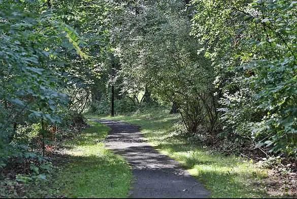 Stonington Farm — Photo 19