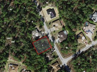 8 Statice Ct, Homosassa, FL 34446