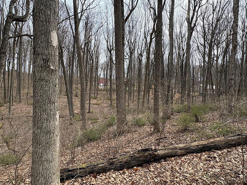 1st image of 57-58 Woodland Dr