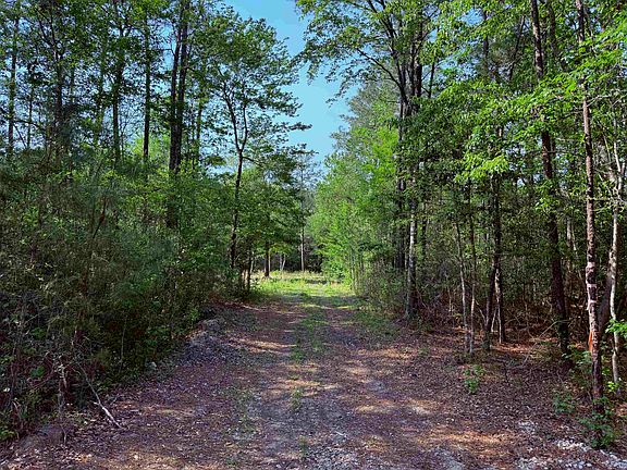 5th image of 2400 Sunny Heights Rd.