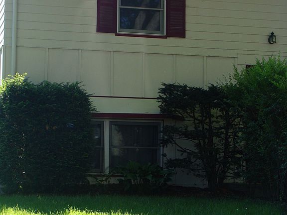 Front window (living room)