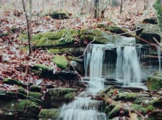 107 Robbies Ln, Decatur, TN 37322