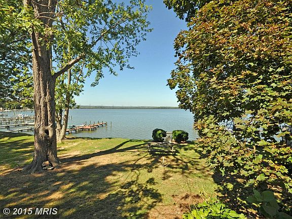 Lovely Tree-Framed View