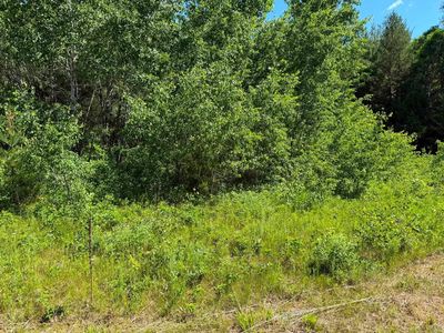 County Road C, Arkdale, WI, 54613