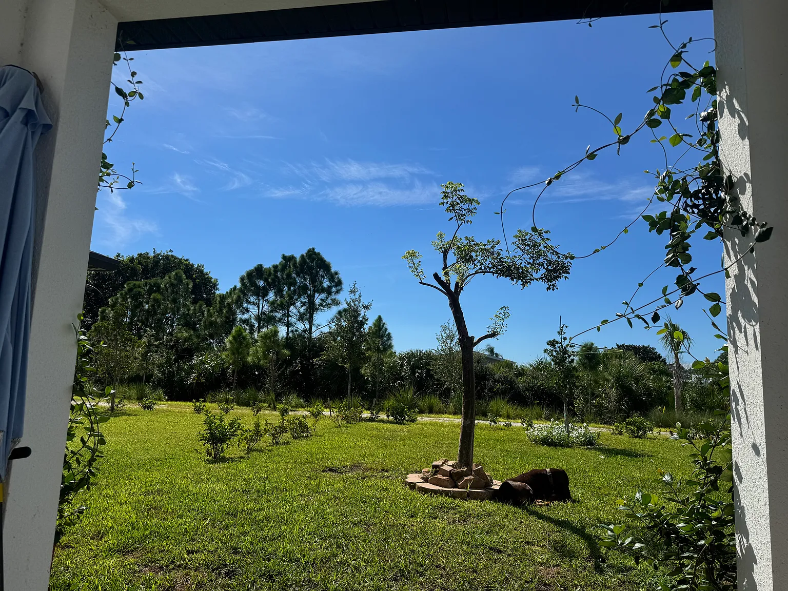 3 bed, 1964 sqft, $3,600 — Photo 3