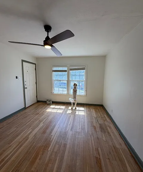 323 Natalen Ave — Photo 12