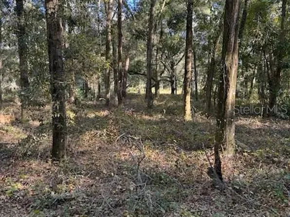0 SE Highway 42, Summerfield, FL 34491