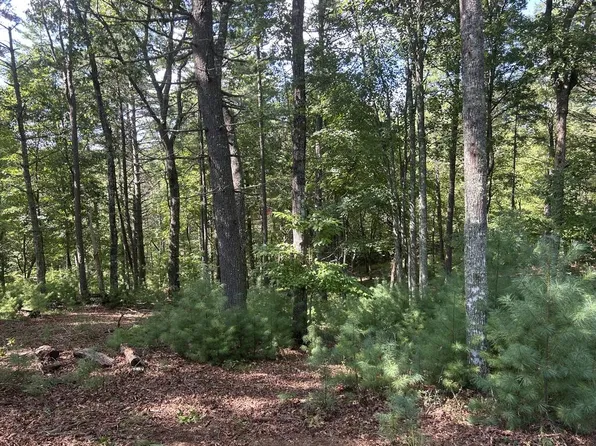 LOT 64 Harmony Way, Morganton, GA 30560