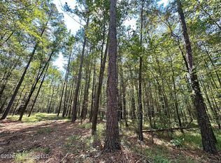 6 Forest Service Rd #562, Pulaski, MS 39152