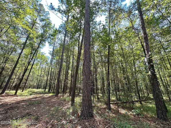 6 Forest Service Rd #562, Pulaski, MS 39152