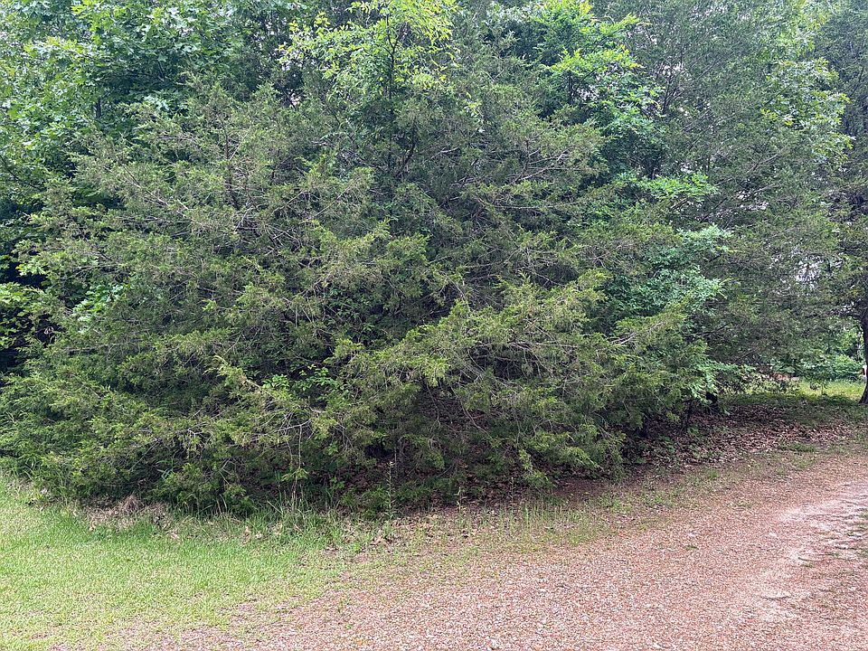 1st image of Tbd County Road 635 A