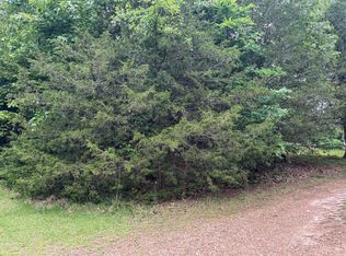 County Road 635 #A, Theodosia, MO 65761