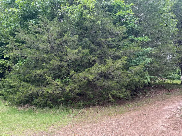 Tbd County Road 635 A, Theodosia, MO 65761