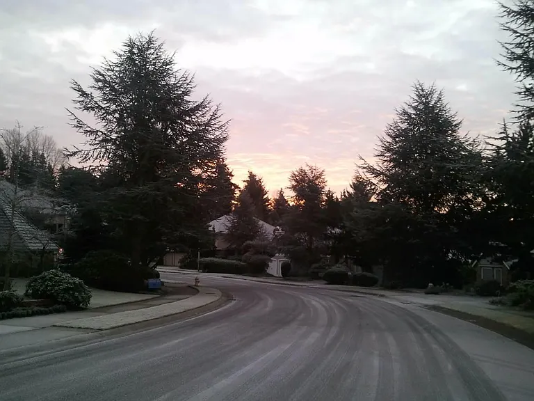 Neighborhood in winter