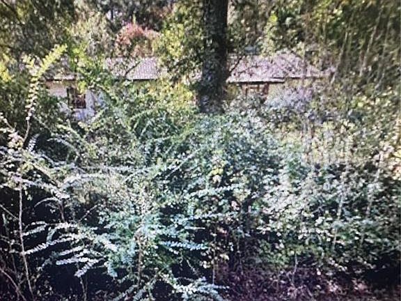 2nd image of 2180 Bonifay Gritney Rd