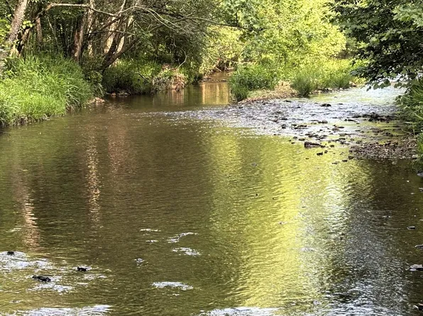 0 Morris Rd, Savannah, TN 38372