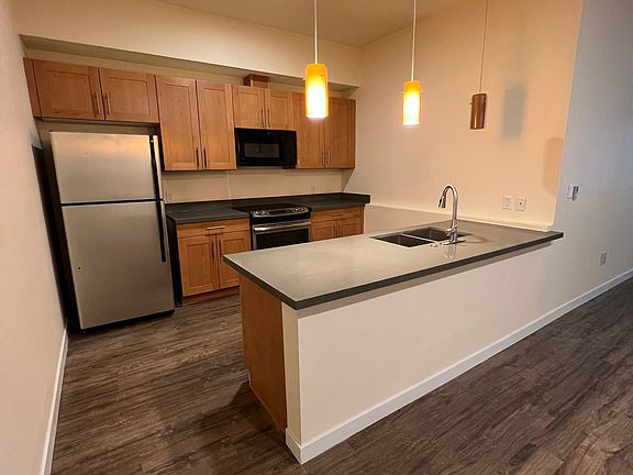 Unit 100 Kitchen