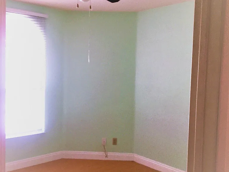 Guest Bedroom #2 with closet