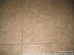 3rd image of 8306 Tiguex