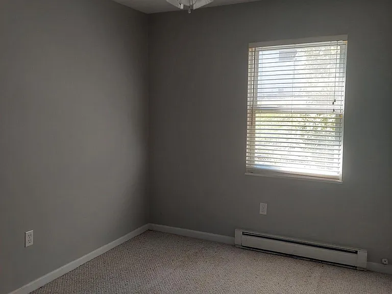 44 Tipperary Dr — Photo 13