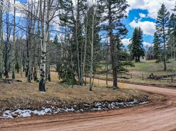 90 Maid Marian Dr, Divide, CO 80814