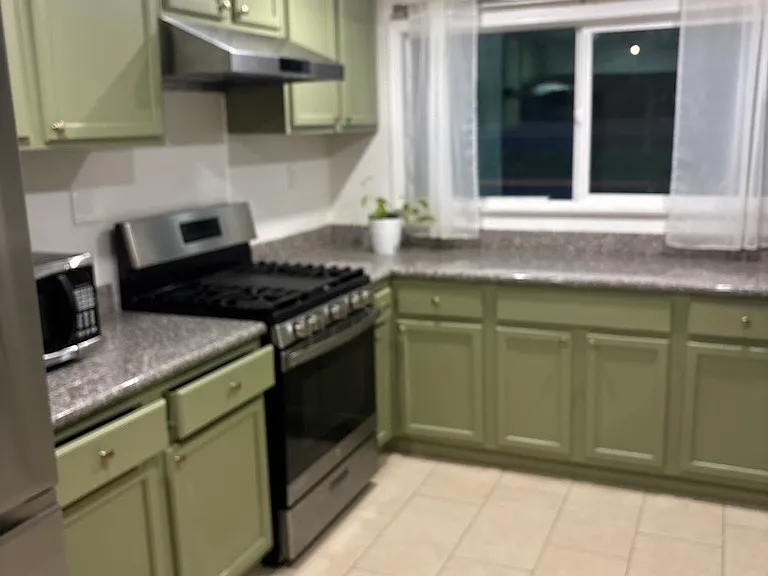 Newly renovated kitchen