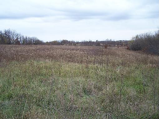 2nd image of 4915 380th St