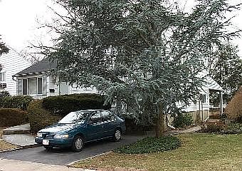 1st image of 73 Briarwood Lane