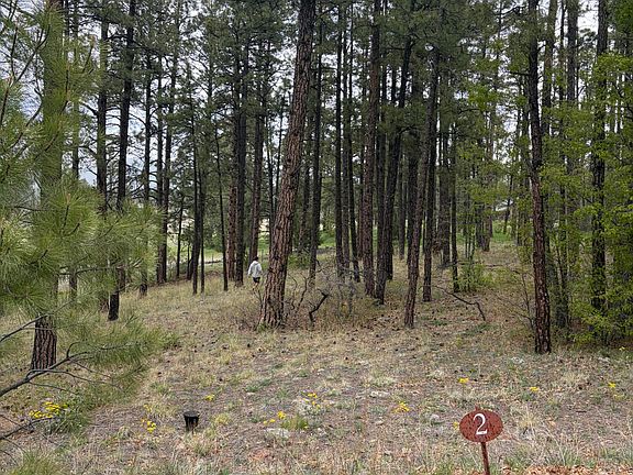 4th image of 1021 STONE HOLLOW Loop #2