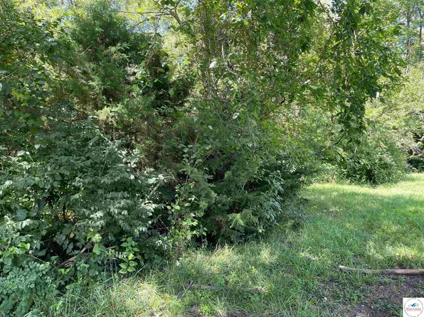 207 E Morgan St, Sedalia, MO 65301