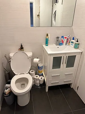 Rented by FLATS & PADS LLC | media 15