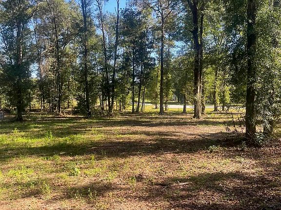 4th image of 0 Anglers Trl Lot 18