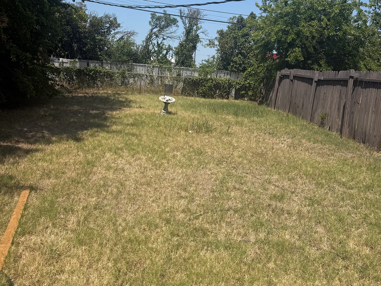 2 bed, 1000 sqft, $1,100 — Photo 1
