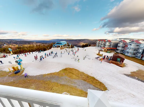 434 Allegheny Spgs, Snowshoe, WV 26209