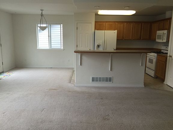 Living room and kitchen