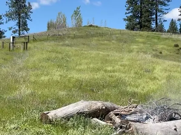 8133 Old Emigrant Trl W, Mountain Ranch, CA 95246