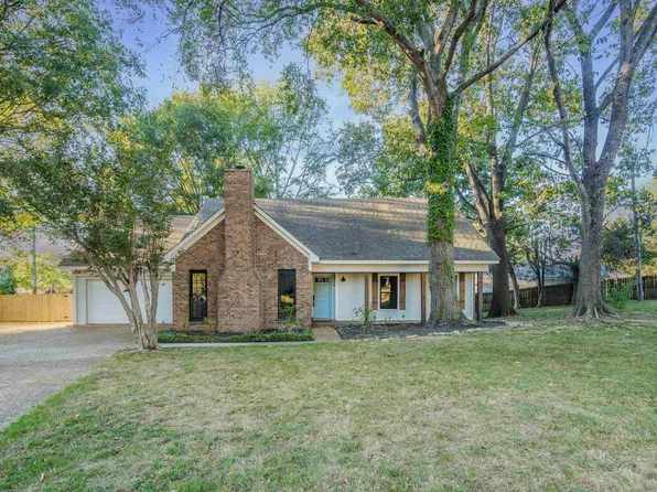 711 Mosswood Cv, Collierville, TN 38017