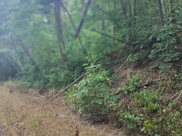 0 County Road 127 Lot 1 & 2, Bremen, AL 35033