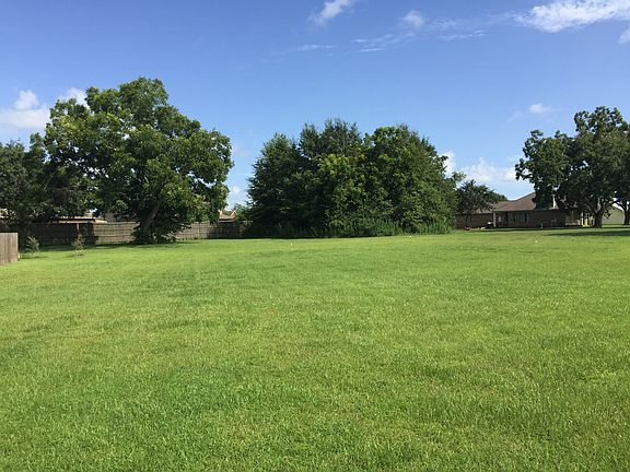 Back Yard View