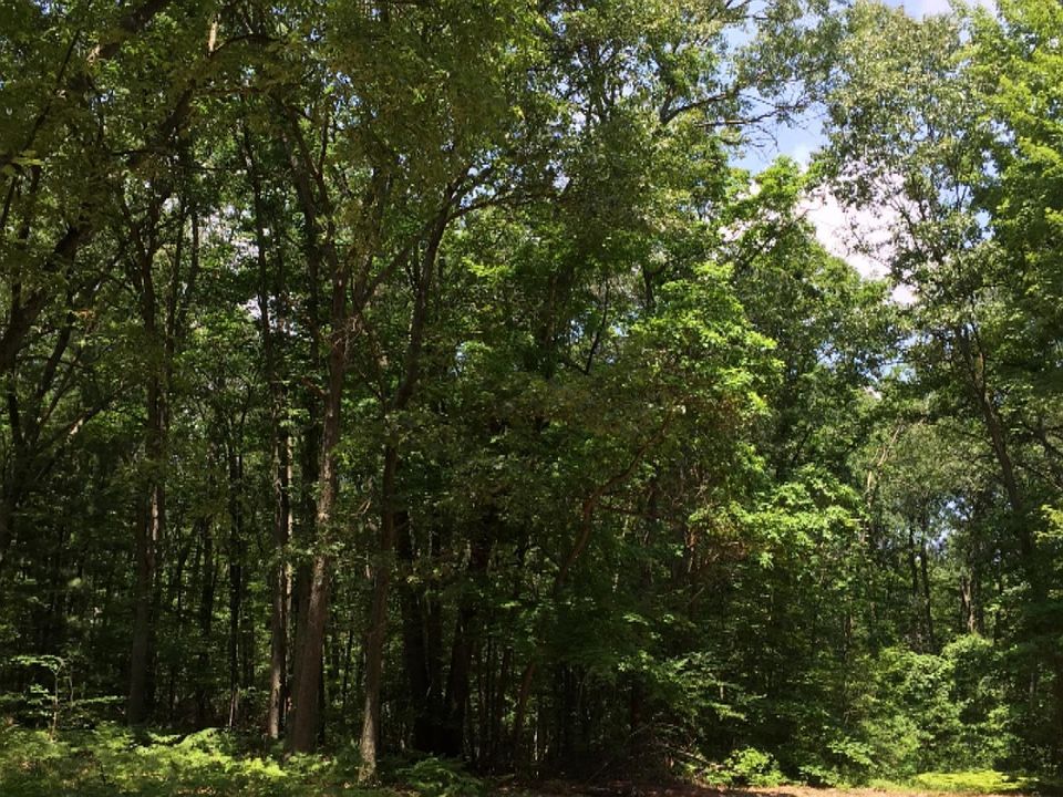 1st image of 6777 Wildwood Ln