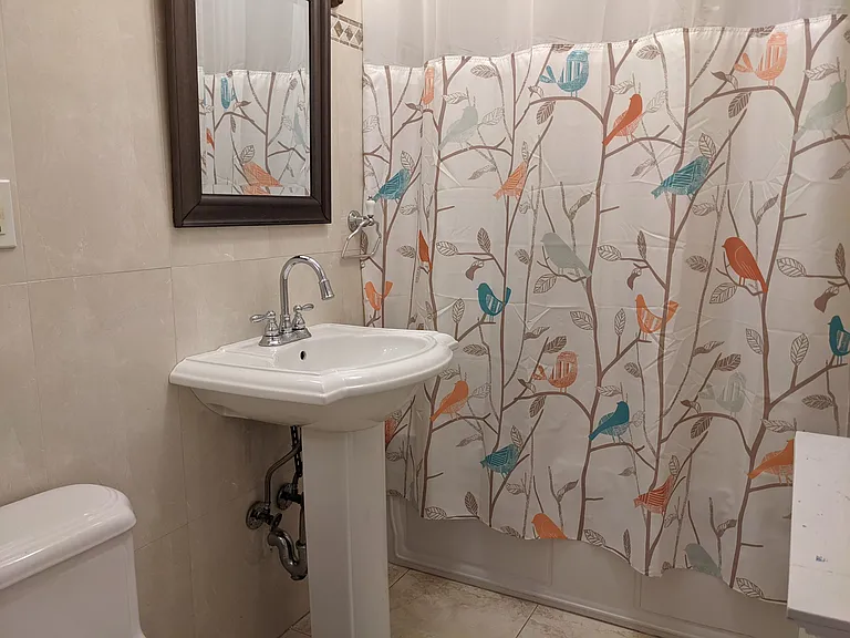 730 Burns St #2 — Photo 45