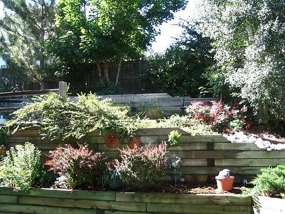 Beautiful backyard