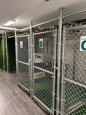 Rented by Jeffrey Mosczyc, LREB | media 17