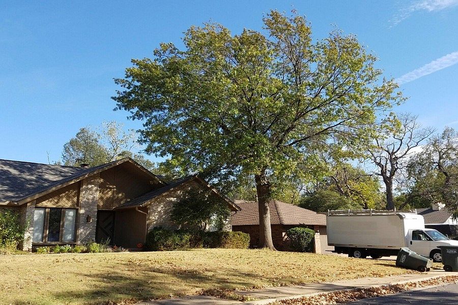 2nd image of 505 Candlewood Dr