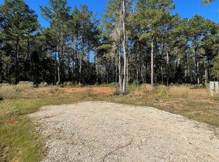 11303 Annie Creek Dr, Willis, TX 77378