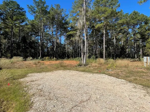 11303 Annie Creek Dr, Willis, TX 77378