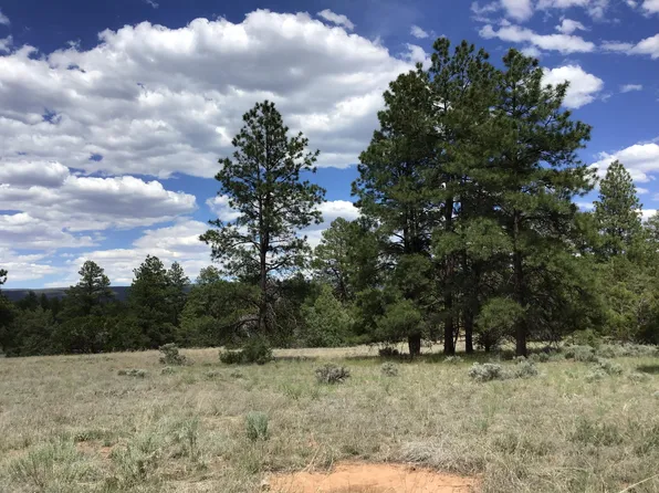 C Tract A2 Grn, Ramah, NM 87321